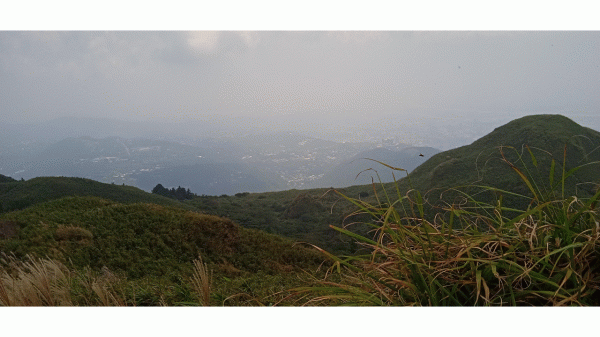 小油坑上七星山(原路折返)1443319