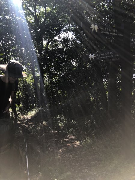 【淡蘭中路】全線連走(經泰平) | 是旅行也是修行1035264