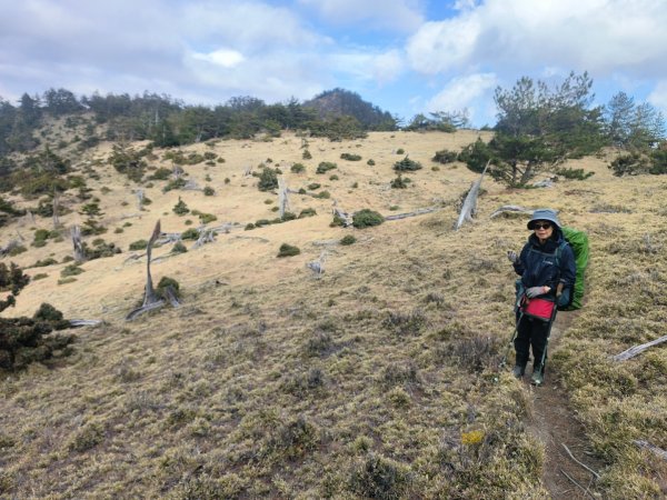 20240320 馬博8天縱走~第五天，馬里亞文路山，馬利加南山2471229