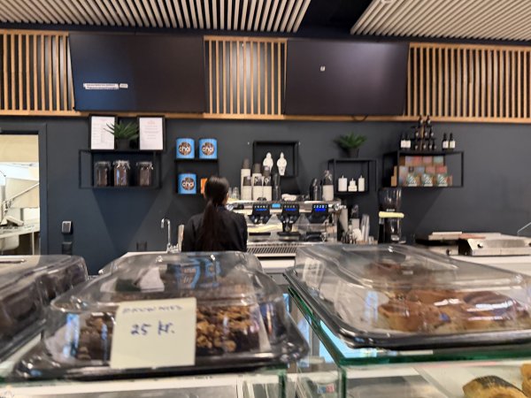 [紐約馬之行-49] 2025_1109 鳥瞰格陵蘭島冰蓋2952329