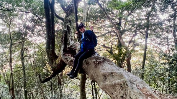 🌈3/15（日）北得拉曼神木+內鳥嘴山✨FB：熊熊趴爬走🌈3016816