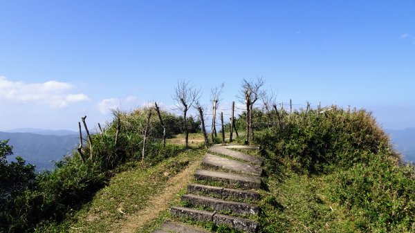 灣坑頭山，大里上大溪下1993808