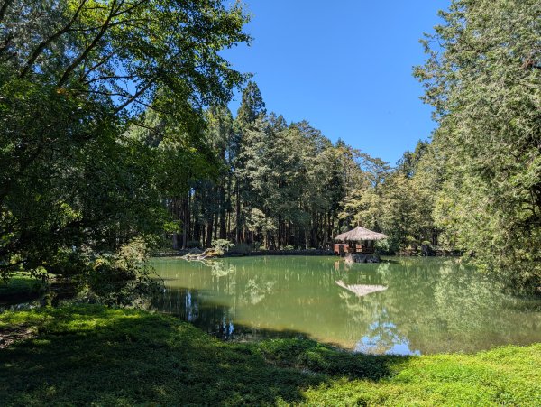 二訪阿里山國家森林遊樂區之大塔山對高岳之旅2991648