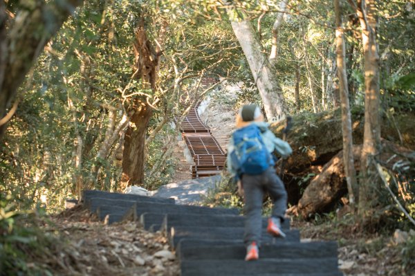枕頭山古砲台歷史古道O型（含薑母島）2948457