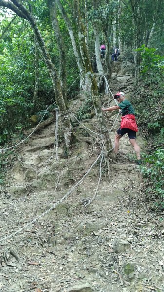 【苗栗仙山】忽聞苗栗有仙山，山在虛無飄緲間1354702