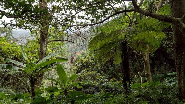 天上山步道2980449