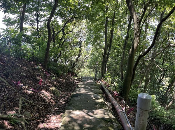 [跟著2025雙北世壯運探索雙北市-7/21] 2025_0615 疾風足球道（輔仁大學－明志路二段2814993