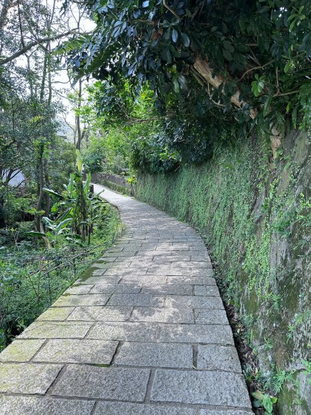 台北大縱走第七段2743524