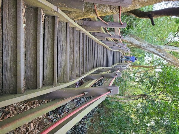 潭子新田山步道2698624