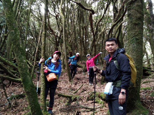 2022年02月13日(彰山協)南投日月潭四兄妹之中級山~大尖山縱走水社大山1613422