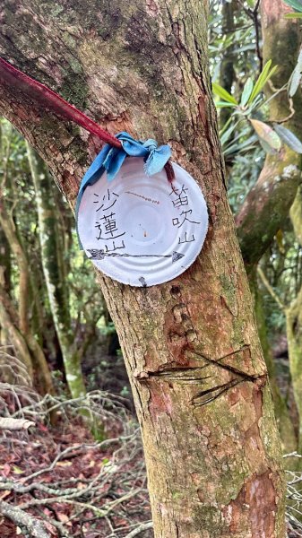 橫沙笛O繞2824590