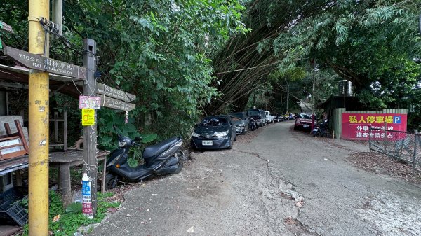 大棟山系第一段、第二段一起走2857247