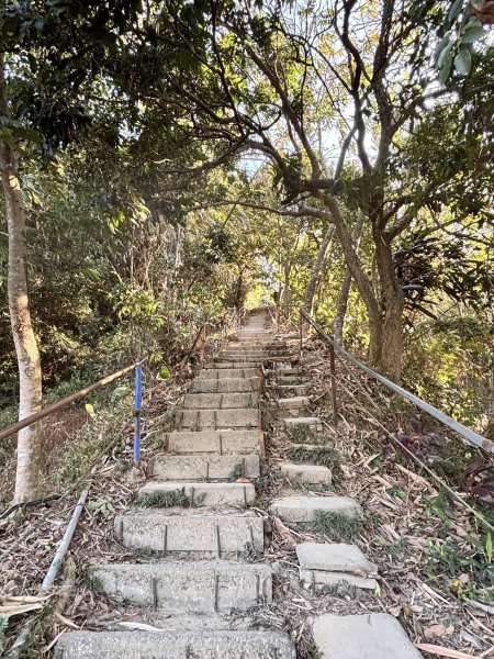 20260211台中的心靈後花園-南觀音山2999893