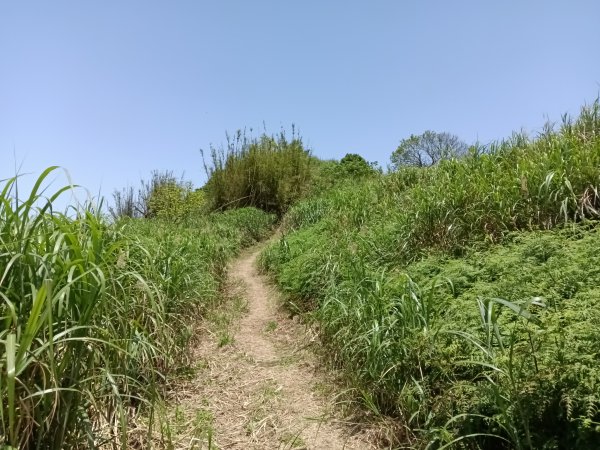 雙溪區不厭亭+牡丹山+樹梅坪+鷹石岩山神廟+不厭亭+奉憲示禁碑+三貂崙+不厭亭8字走2766300