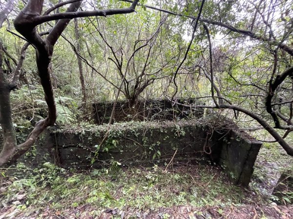 武山坑炭窯2990730