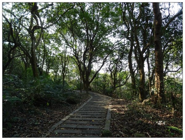 泰安登山步道/縱走后里車站1277029