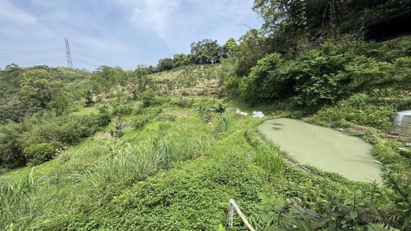 20250404銀河洞越嶺登山步道2752983