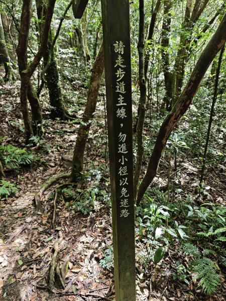 2025_0601 赫威山2802307