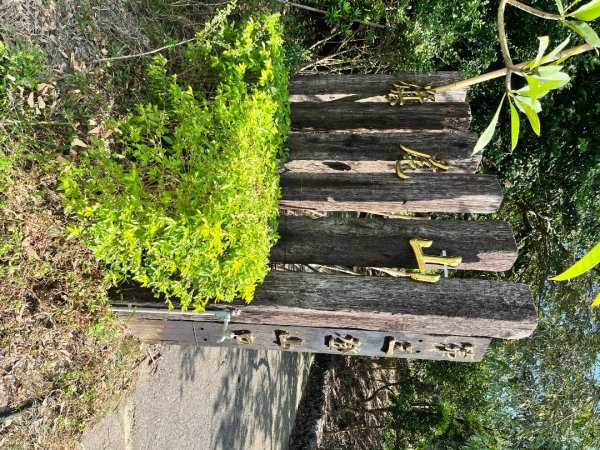 20251101_旗尾山（高雄小百岳）