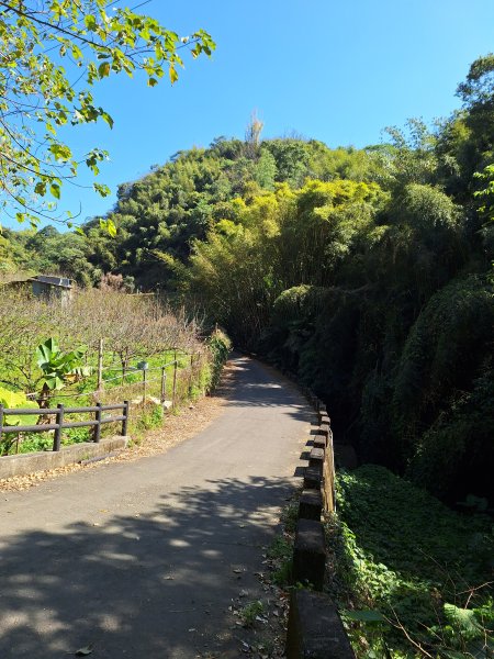 小中嵙登山步道 + 大堀底山+尾文坑山 202402132430934