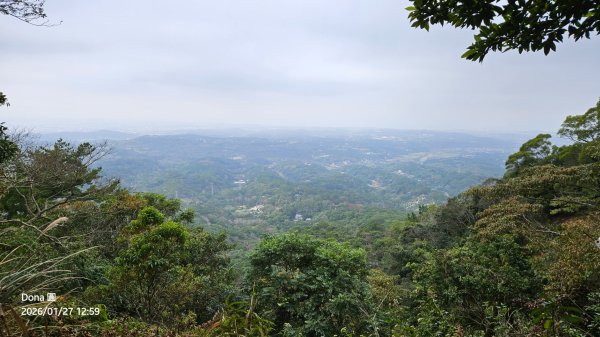 20260127三通嶺山.三義山(大桁茂山).慈濟山.大坪山大O走2989965