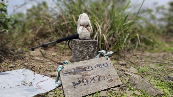 【沒事夏天別走】巴層巴墨山2806752