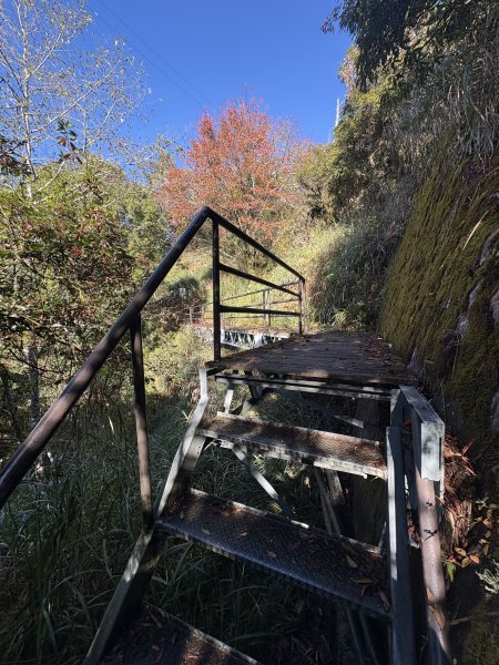 20251225塔山步道(大塔山)2970372