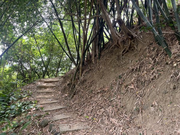 [皮皮獅探險隊-03/10] 2025_0706 犁頭山、文山步道2831467