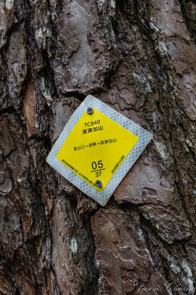 谷關七雄_波津加山2977611