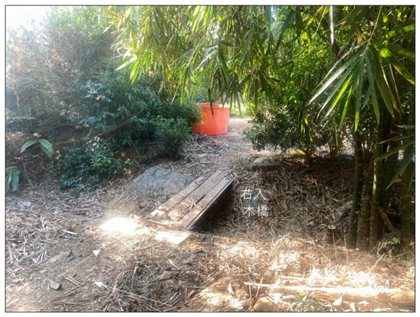 乞食崙 ( 台中/大肚山 )2937401