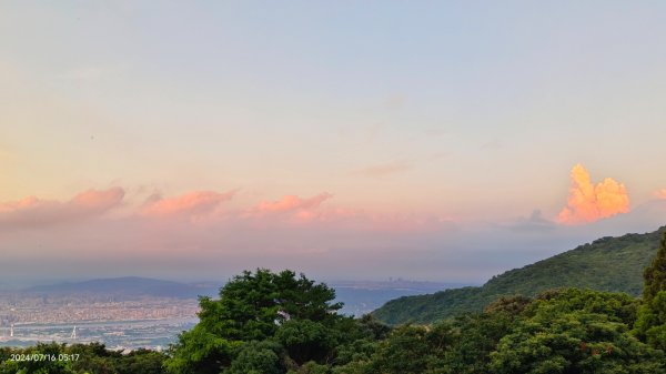 雲山水花鳥蝶 - 天龍國阿伯的日常7/162551879