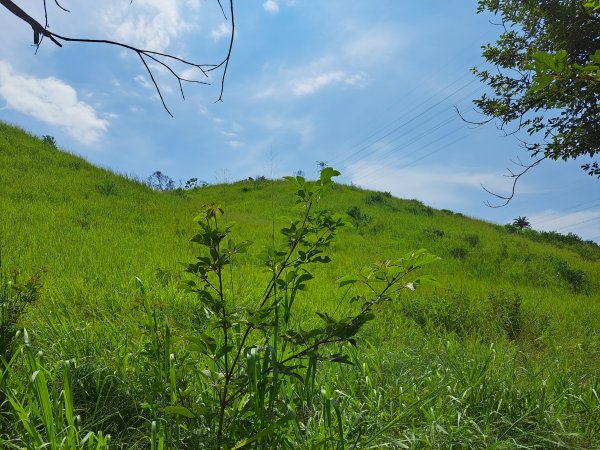 龍井竹坑南寮步道(C去主回)+竹坑山2263086