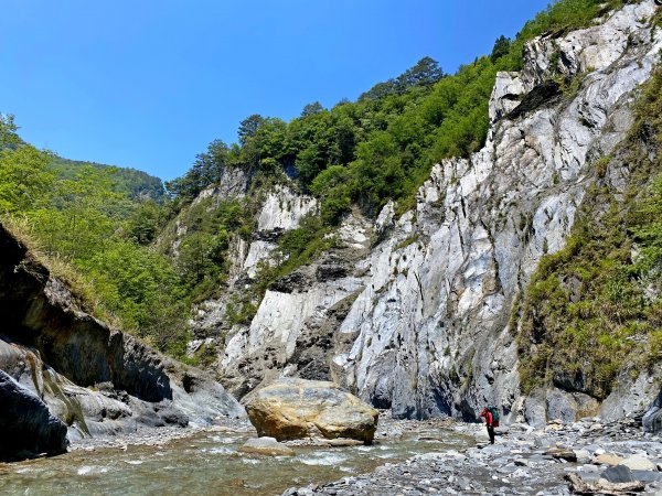 能安縱走--與高山湖泊、水鹿大軍相遇-2955662