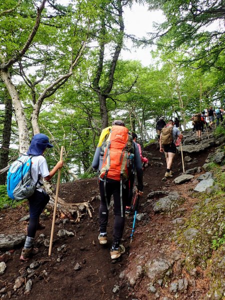 富士山看日出653431