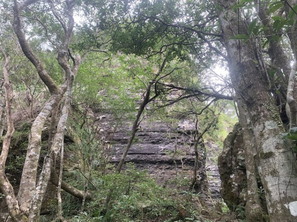滿月圓登東眼山O型