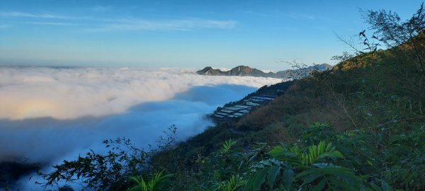 20241127特富野古道+梯子板山2659296