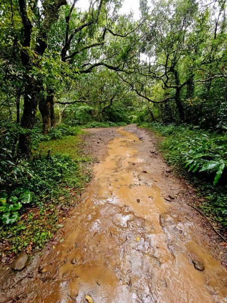 2025臺北大縱走第一段：關渡至二子坪2973521