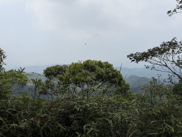 [微笑山線_第八段] 2026_0411 二格山系_筆架山南峰3035199