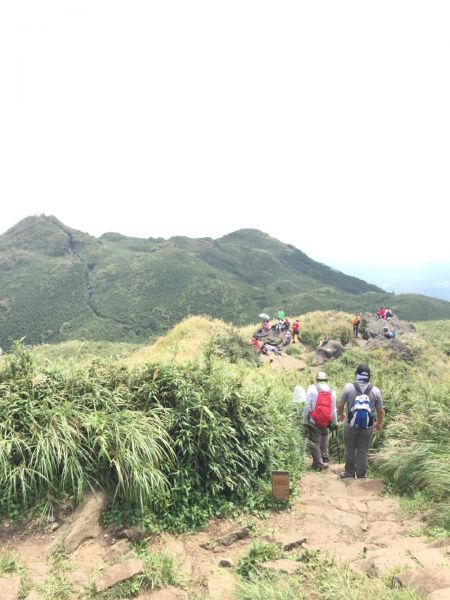 台北大景點！七星山主東峰169995