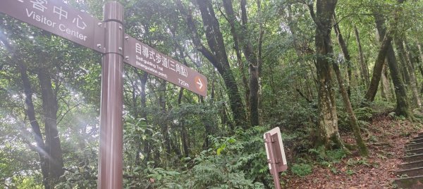 東眼山國家森林遊樂區2522659