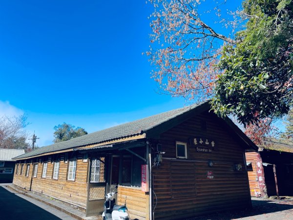 20241230 大雪山神木步道2745377