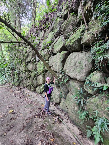 台南關子嶺大凍山 雲萊山莊 水火同源 碧雲寺1877097