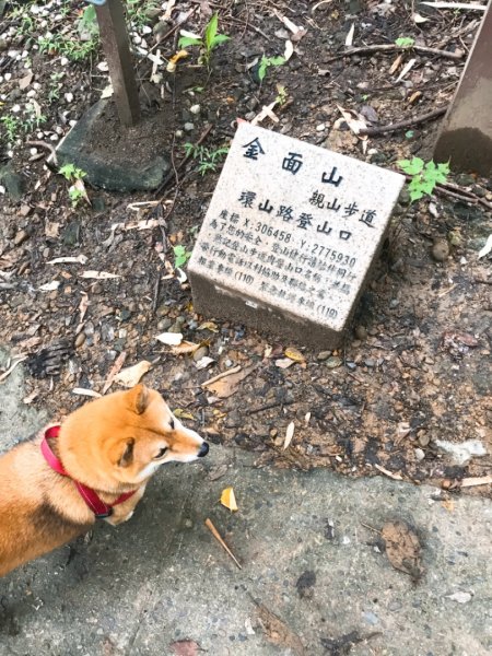 金面山步道1071834