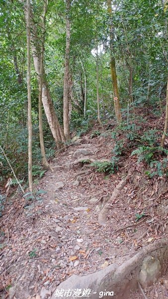 【台中和平】難得悠靜。 谷關七雄-唐麻丹山步道2362643