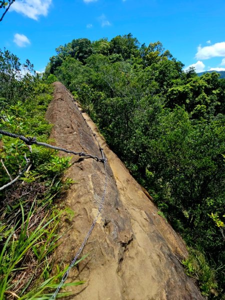 (二格山系)皇帝殿稜線-2025微笑山線大縱走尋寶集章任務2863490
