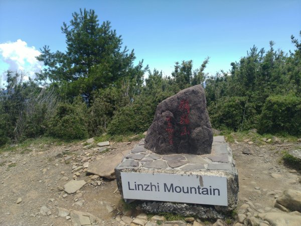 2022-07-21 塔塔加一日遊(麟趾山、鹿林山)1771448