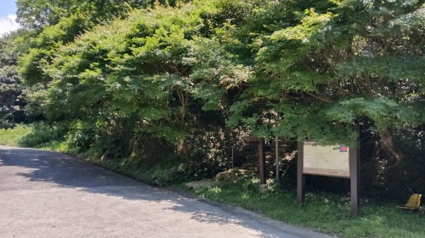 瑞芳區長興宮-粗坑口步道-觀音堂步道-碇內尖-長興宮O型3079016
