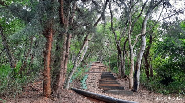 《台中》秋節秋虎｜大肚環保公園登山步道202310012301206