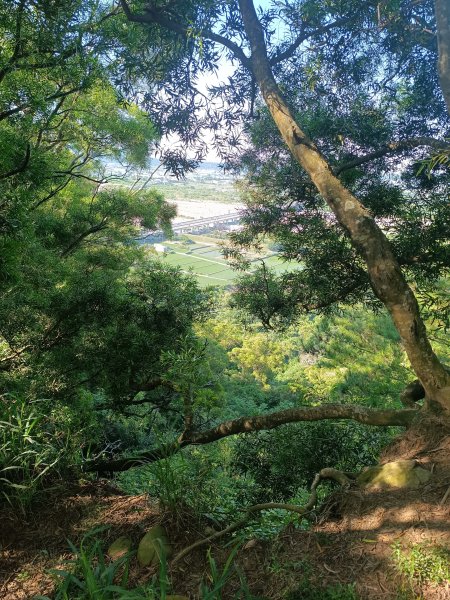 三義火炎山2875815