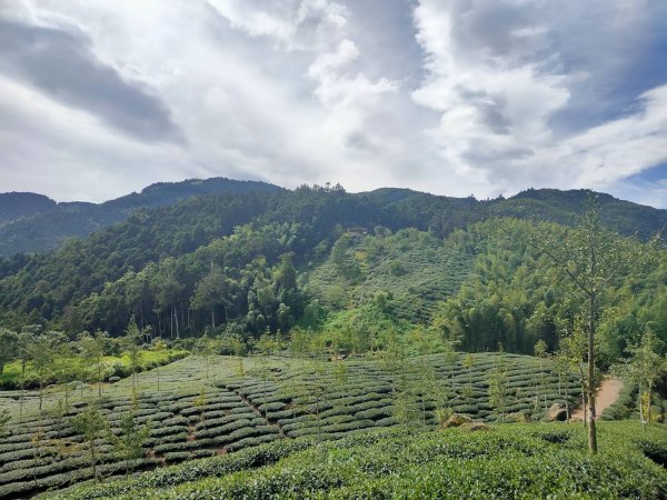 溪頭山、竹崙山、志騰山3山連走1484349